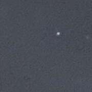 ヒメ日記 2026/01/10 02:52 投稿 うさぎ 櫻女学院