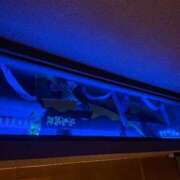 ヒメ日記 2026/01/14 12:55 投稿 うさぎ 櫻女学院