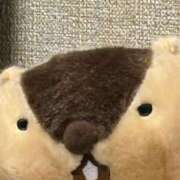 ヒメ日記 2026/01/14 17:56 投稿 うさぎ 櫻女学院