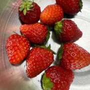 ヒメ日記 2026/01/22 12:51 投稿 うさぎ 櫻女学院