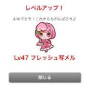 ヒメ日記 2026/02/04 10:30 投稿 うさぎ 櫻女学院