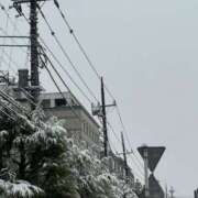 ヒメ日記 2026/02/08 14:38 投稿 うさぎ 櫻女学院