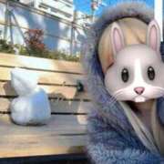 ヒメ日記 2026/02/09 15:12 投稿 うさぎ 櫻女学院