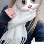 ヒメ日記 2026/02/20 15:58 投稿 うさぎ 櫻女学院