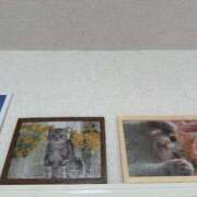 ヒメ日記 2026/03/16 13:43 投稿 うさぎ 櫻女学院