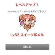 ヒメ日記 2026/03/16 16:09 投稿 うさぎ 櫻女学院