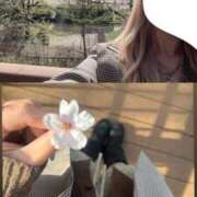 ヒメ日記 2026/04/03 22:36 投稿 うさぎ 櫻女学院