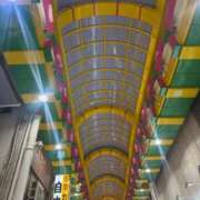 うさぎ 🎶🎶🎶 櫻女学院