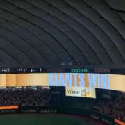 ヒメ日記 2026/06/03 00:46 投稿 うさぎ 櫻女学院