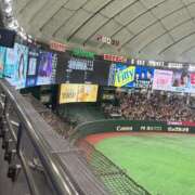 ヒメ日記 2026/07/17 21:16 投稿 うさぎ 櫻女学院