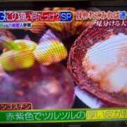 ヒメ日記 2026/08/06 21:17 投稿 うさぎ 櫻女学院