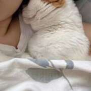 ヒメ日記 2025/09/10 14:32 投稿 なの ごほうびSPA上野店