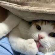 なの 寒くて ごほうびSPA上野店