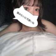 なぎ "昔飼ってた猫に似てる" ハニープラザ（ユメオト）