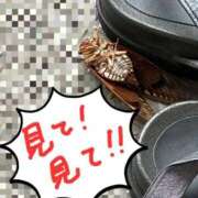 ヒメ日記 2025/10/21 09:30 投稿 恋波（こなみ） 熟女の風俗最終章　鶯谷店