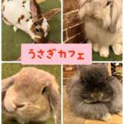 ヒメ日記 2025/11/02 01:06 投稿 恋波（こなみ） 熟女の風俗最終章　鶯谷店