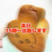 ヒメ日記 2026/08/15 07:36 投稿 恋波（こなみ） 熟女の風俗最終章　鶯谷店