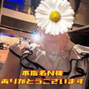ヒメ日記 2026/09/16 12:08 投稿 恋波（こなみ） 熟女の風俗最終章　鶯谷店