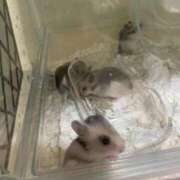 ヒメ日記 2025/08/28 18:45 投稿 さゆみ 町田人妻城