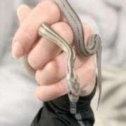 ヒメ日記 2025/10/24 10:05 投稿 さゆみ 町田人妻城