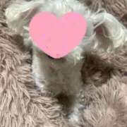 ヒメ日記 2025/12/24 19:50 投稿 さゆみ 町田人妻城