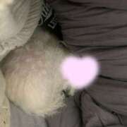 ヒメ日記 2026/02/06 09:41 投稿 さゆみ 町田人妻城