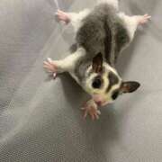 ヒメ日記 2026/02/12 18:12 投稿 さゆみ 町田人妻城