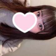 ヒメ日記 2025/08/29 08:29 投稿 きなこ スピードエコ日本橋店