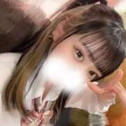 ヒメ日記 2025/09/26 11:49 投稿 きなこ スピードエコ日本橋店