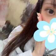 ヒメ日記 2025/11/08 09:49 投稿 きなこ スピードエコ日本橋店