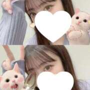 ヒメ日記 2025/11/15 09:19 投稿 きなこ スピードエコ日本橋店