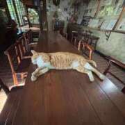 ヒメ日記 2025/10/17 18:55 投稿 ののか ナチュラルプリンセス