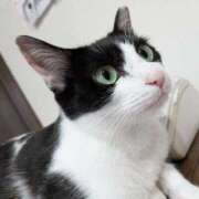 ヒメ日記 2026/02/22 14:47 投稿 りおん ビデオdeはんど 熊本校