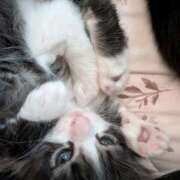 ヒメ日記 2026/03/27 14:47 投稿 りおん ビデオdeはんど熊本校（アクセスグループ）