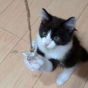 ヒメ日記 2026/05/14 18:57 投稿 りおん ビデオdeはんど熊本校（アクセスグループ）
