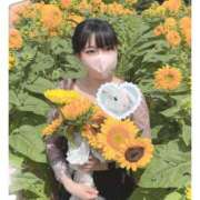 ヒメ日記 2025/08/29 22:33 投稿 あかり 新宿ハンドメイド