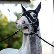 ヒメ日記 2025/10/31 21:51 投稿 しっぷ ぽっちゃり巨乳専門木更津君津ちゃんこin千葉