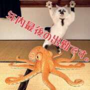 ヒメ日記 2025/12/17 12:05 投稿 しっぷ ぽっちゃり巨乳専門木更津君津ちゃんこin千葉