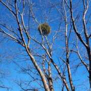 ヒメ日記 2026/02/14 19:36 投稿 しっぷ ぽっちゃり巨乳専門木更津君津ちゃんこin千葉