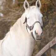 ヒメ日記 2026/03/11 21:06 投稿 しっぷ ぽっちゃり巨乳専門木更津君津ちゃんこin千葉