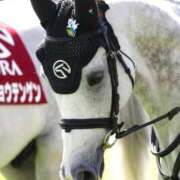 ヒメ日記 2026/03/22 10:06 投稿 しっぷ ぽっちゃり巨乳専門木更津君津ちゃんこin千葉