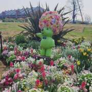 ヒメ日記 2026/04/01 20:49 投稿 しっぷ ぽっちゃり巨乳専門木更津君津ちゃんこin千葉