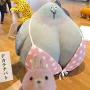 ヒメ日記 2026/04/12 11:50 投稿 しっぷ ぽっちゃり巨乳専門木更津君津ちゃんこin千葉