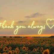 ヒメ日記 2025/10/02 15:29 投稿 ハルヒ ピンクコレクション大阪