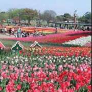 ヒメ日記 2025/10/23 18:01 投稿 ハルヒ ピンクコレクション大阪