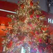 ヒメ日記 2025/11/27 23:11 投稿 ハルヒ ピンクコレクション大阪