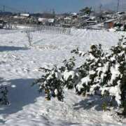 ヒメ日記 2025/12/08 17:34 投稿 ハルヒ ピンクコレクション大阪