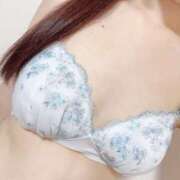 ヒメ日記 2026/03/31 01:02 投稿 ろあ★生粋ドMの敏感美女OL★ Bell～S級美女お姉様・人妻デリヘル～