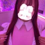 ヒメ日記 2026/04/23 00:33 投稿 ろあ★生粋ドMの敏感美女OL★ Bell～S級美女お姉様・人妻デリヘル～