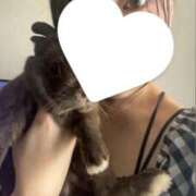 ヒメ日記 2025/08/23 19:35 投稿 ハルヒ ピンクコレクション大阪キタ店